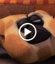 كونغ فو باندا أساطير الروعة HD