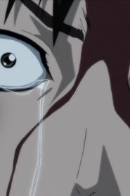 انمي مملكة مترجم