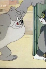 كرتون توم وجيري كلاسيك مدبلج