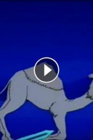 فيلم كرتون قصة آية – ناقة صالح مدبلج عربي