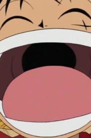انمي ون بيس مترجم عربي