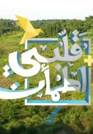 برنامج قلبي اطمأن |