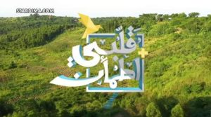 برنامج قلبي اطمأن |