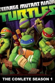 Teenage Mutant Ninja Turtles: Season 1