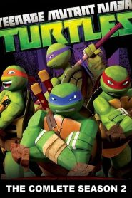 Teenage Mutant Ninja Turtles: Season 2